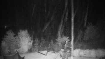 Snímek    24.10.2025 v 05:00