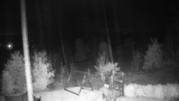 Snímek    27.10.2025 v 21:30