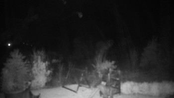 Snímek    28.10.2025 v 05:00