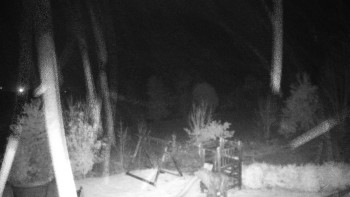 Snímek    29.10.2025 v 04:30