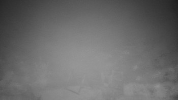 Snímek    2.11.2025 v 06:00