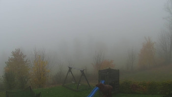 Snímek    2.11.2025 v 16:00