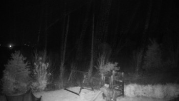 Snímek    3.11.2025 v 03:30