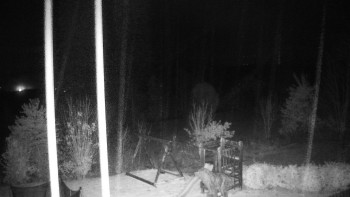 Snímek    3.11.2025 v 05:00