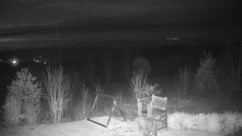 Snímek    8.11.2025 v 19:30