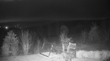 Snímek 8.11.2025 v 20:30