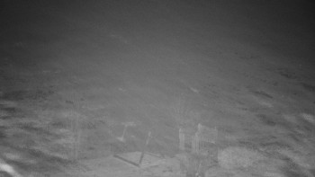 Snímek    9.11.2025 v 00:30