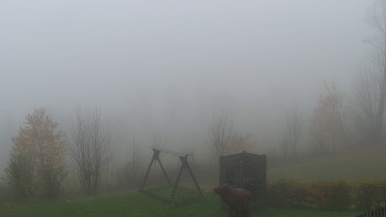 Snímek 9.11.2025 v 08:30