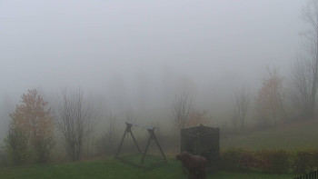 Snímek 9.11.2025 v 09:00