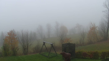 Snímek 9.11.2025 v 09:30