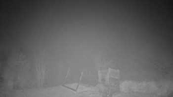 Snímek 9.11.2025 v 20:30