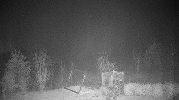 Snímek 9.11.2025 v 21:00