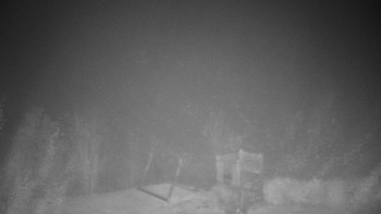 Snímek 9.11.2025 v 22:00