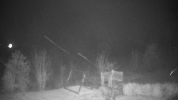 Snímek 10.11.2025 v 00:00