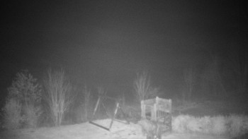 Snímek 12.11.2025 v 23:30