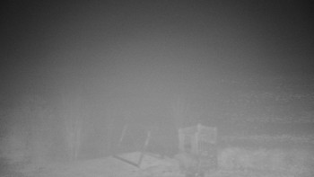 Snímek 13.11.2025 v 04:00