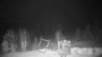 Snímek    13.11.2025 v 21:30