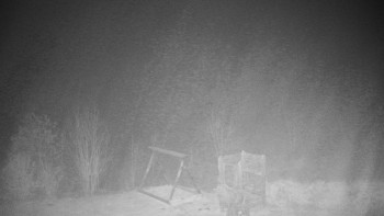 Snímek    14.11.2025 v 03:00