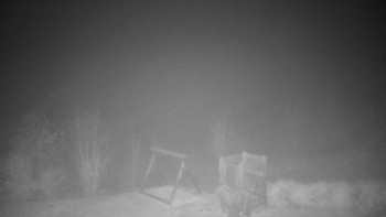 Snímek 14.11.2025 v 04:30