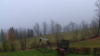 Snímek 14.11.2025 v 14:30