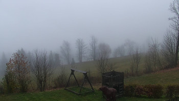 Snímek    14.11.2025 v 16:00