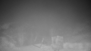 Snímek 14.11.2025 v 17:30