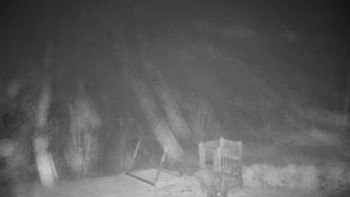 Snímek 14.11.2025 v 20:30