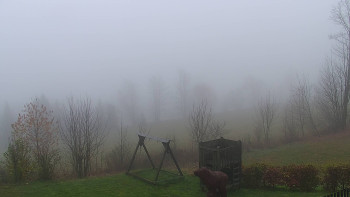 Snímek 16.11.2025 v 08:30