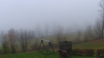 Snímek 16.11.2025 v 11:00