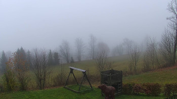 Snímek 16.11.2025 v 12:00