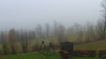 Snímek 17.11.2025 v 08:00