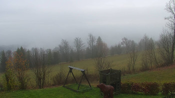 Snímek 17.11.2025 v 08:30