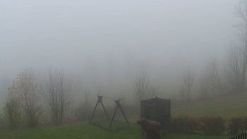 Snímek 17.11.2025 v 10:30