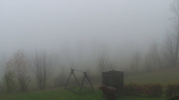 Snímek 17.11.2025 v 11:00