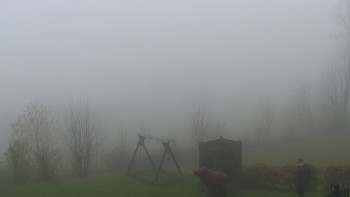 Snímek 17.11.2025 v 12:00