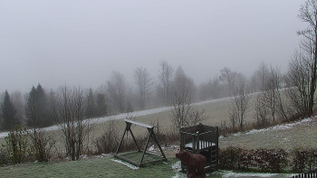 Snímek    19.11.2025 v 11:00