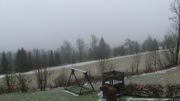 Snímek 19.11.2025 v 12:00