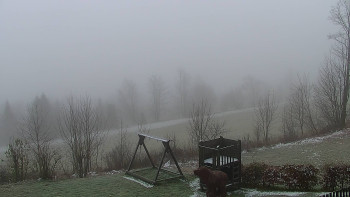 Snímek 20.11.2025 v 08:00