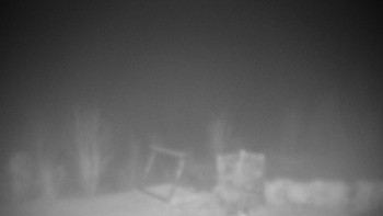 Snímek 20.11.2025 v 19:00