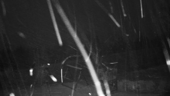 Snímek    24.11.2025 v 06:30