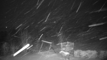 Chata Myslivna SKP Olomouc