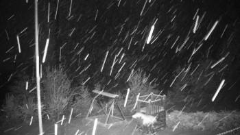 Chata Myslivna SKP Olomouc