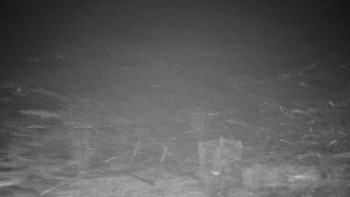 Chata Myslivna SKP Olomouc