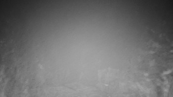 Chata Myslivna SKP Olomouc