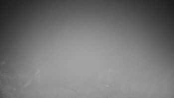 Chata Myslivna SKP Olomouc