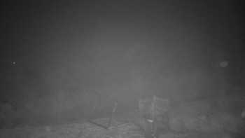 Chata Myslivna SKP Olomouc