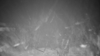 Chata Myslivna SKP Olomouc