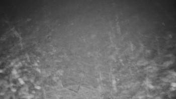 Chata Myslivna SKP Olomouc