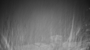 Chata Myslivna SKP Olomouc - Pohled do krajiny - 19.12.2025 v 03:00