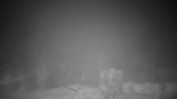 Chata Myslivna SKP Olomouc